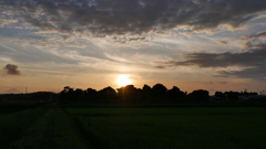 田園の夕景