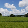 夏の田園