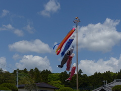 碧空に泳ぐ