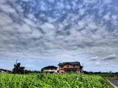 夏の雲