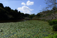 茂原公園