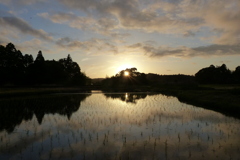 田園の夕景