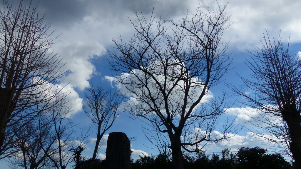 忠魂碑のある公園