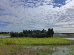 雲が多い