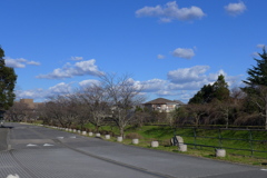 ウオーキングコースの風景