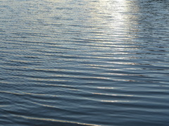 夕日に映える波紋