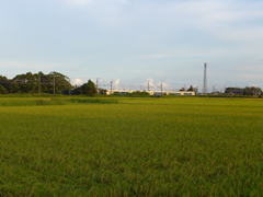 夕陽を受けて　6