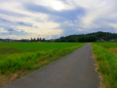 ジオラマ　作例5