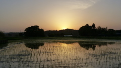 夕焼け