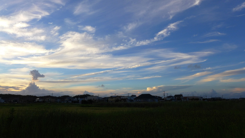 秋らしい夕景