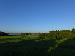 真っ青な空