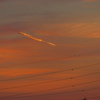 飛行機雲