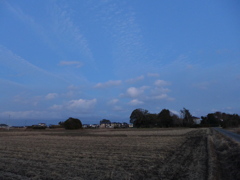 田園夕景