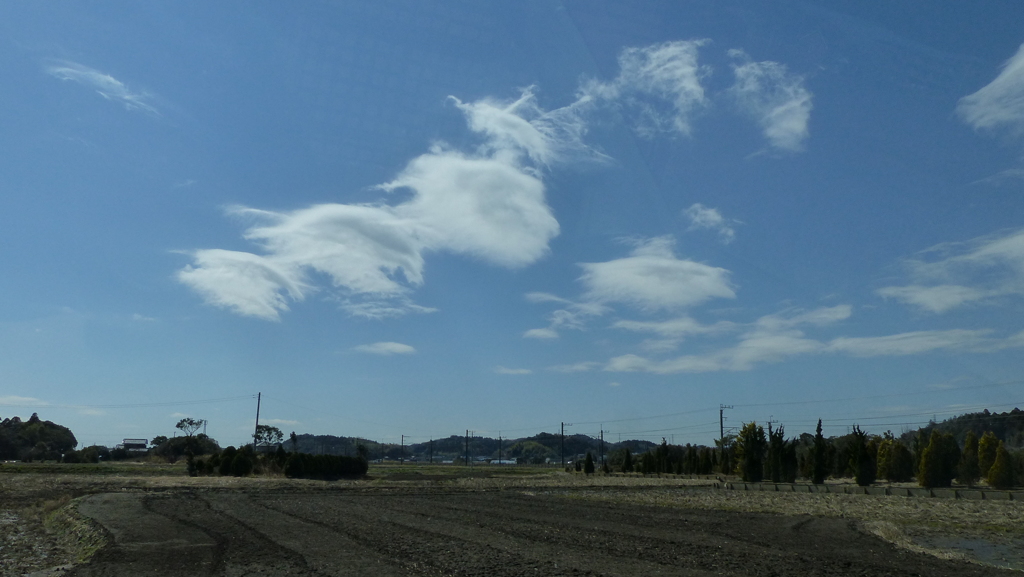 変った雲