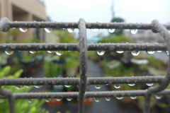 雫