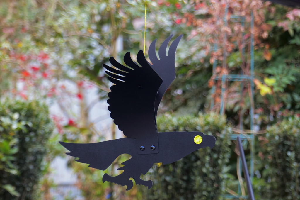 鳥よけの鳥
