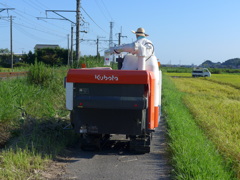 いざ目的の田んぼへ