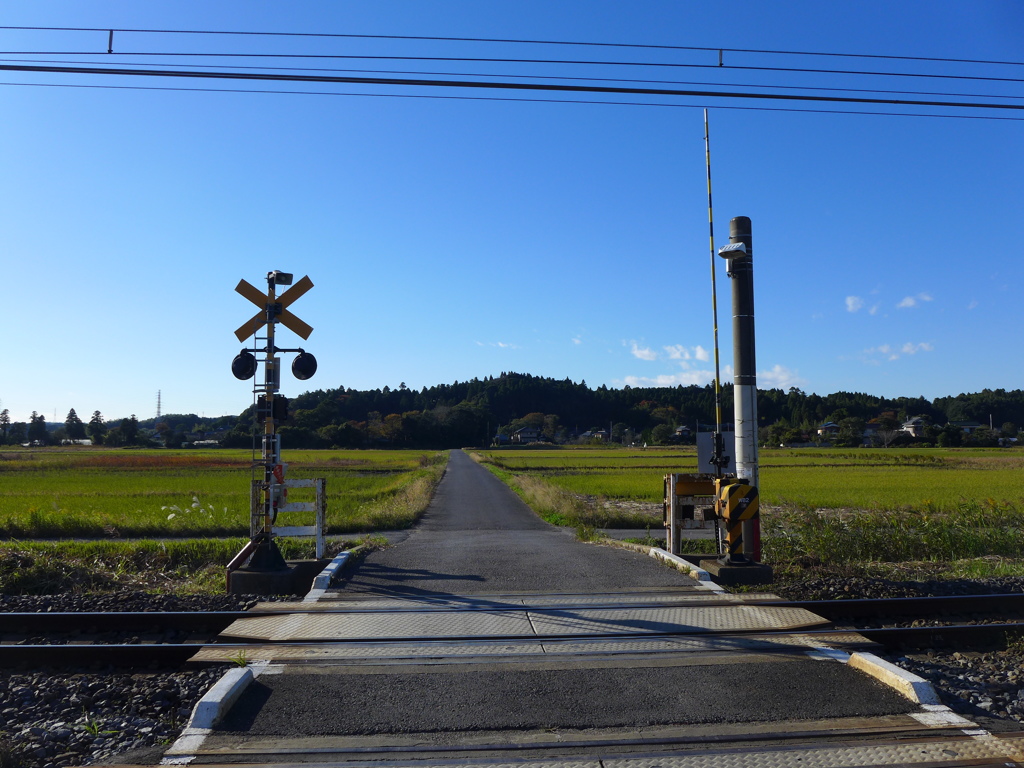 穏かな秋の風景　１