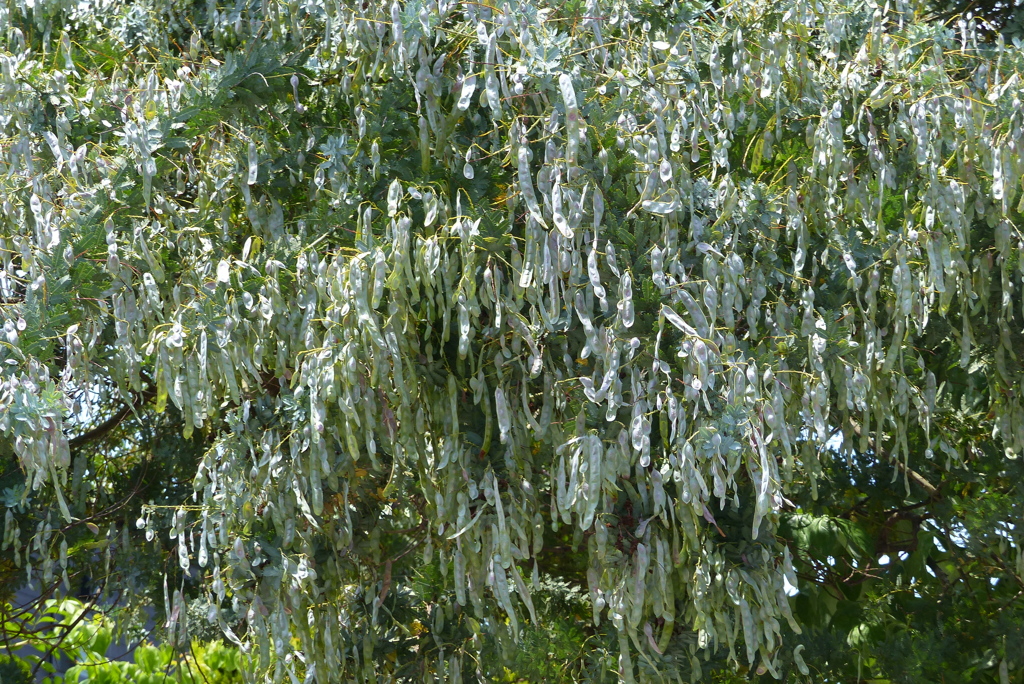 この密度が凄い