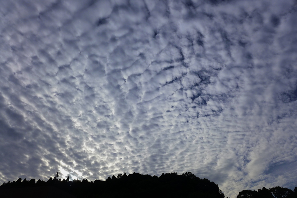 雄大な雲