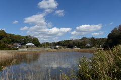 蓮池のある風景