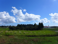 １０月の夏雲