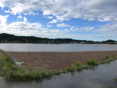 湖（田んぼ）の右半分