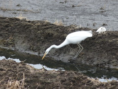1.狙いすまして