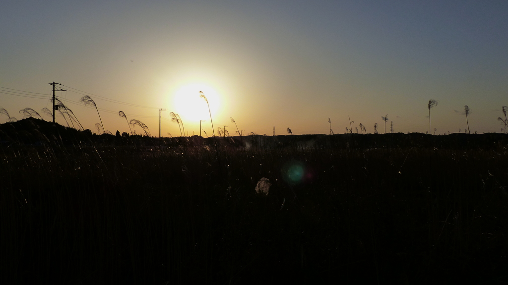 夕陽　1