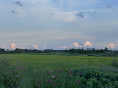 彼方の積乱雲