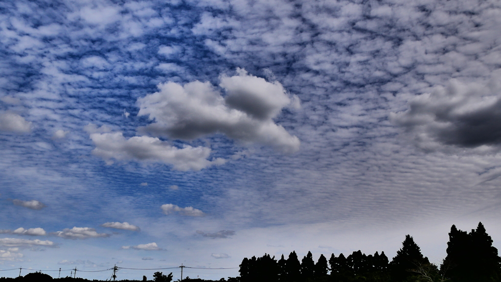 秋の雲　2