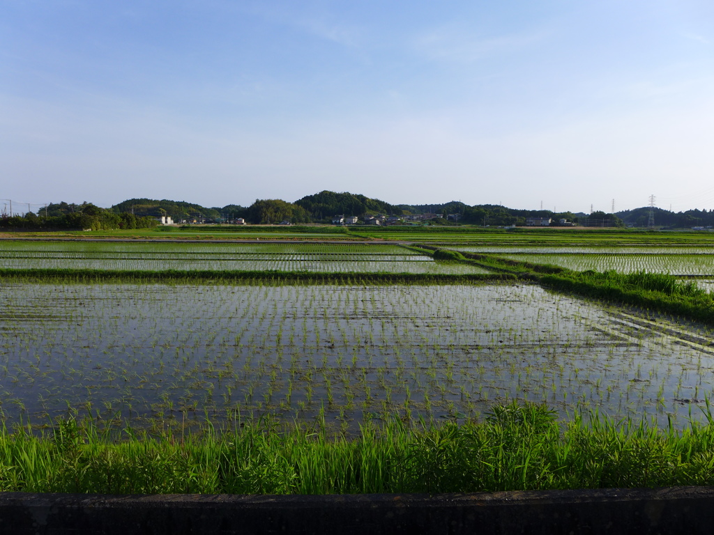 広々とした田園風景を発見