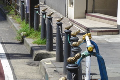 ピーナッツ