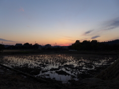 田園の夕暮れ　3