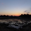 田園の夕暮れ　3