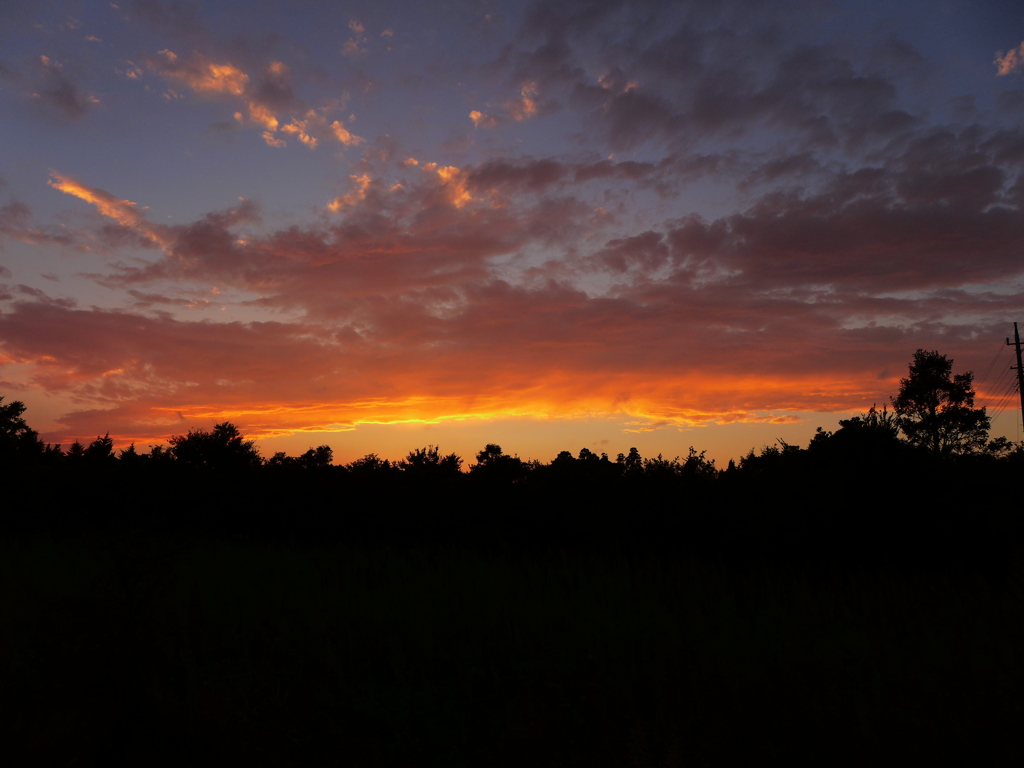 夕焼け2