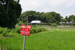 あいまいな標識