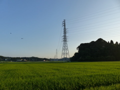 田園の鉄塔