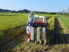 前面はこんな構造