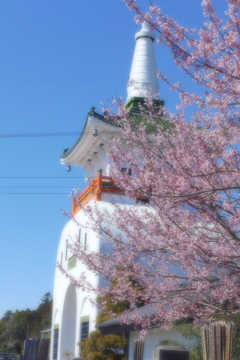 藻原寺山門