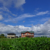 青空と日照