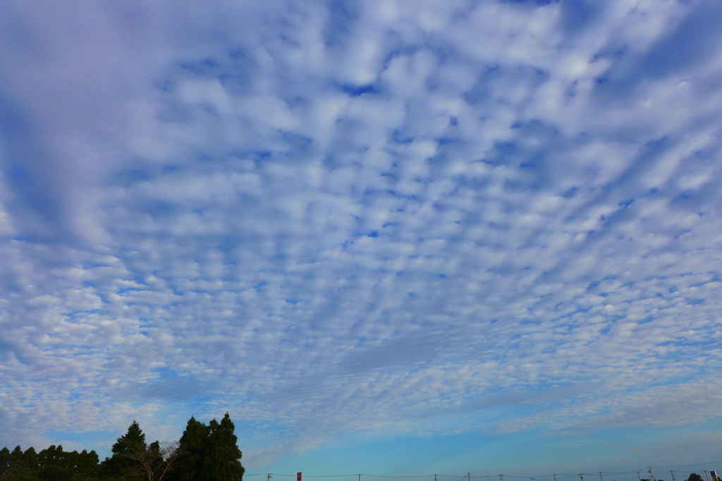 爽快な秋の空