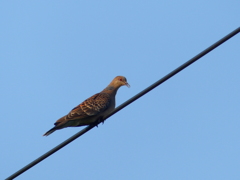 久しぶりの再会