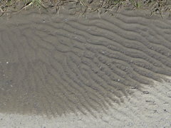 水紋状の痕跡