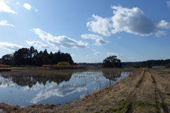田園の風景