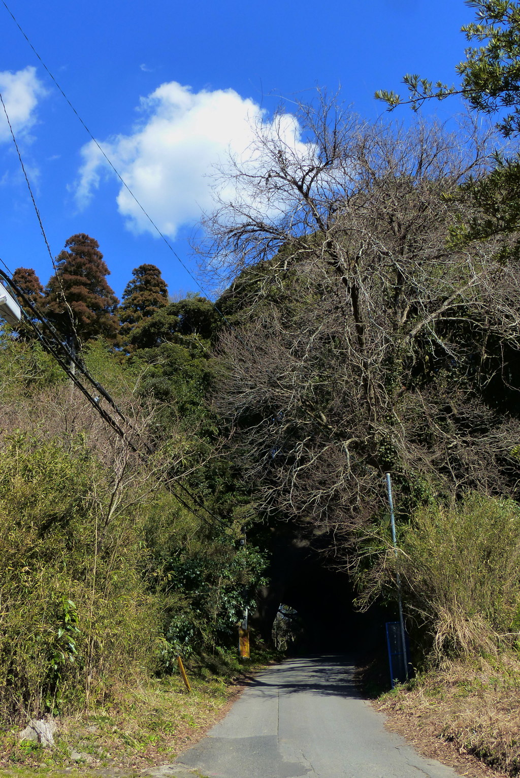 トンネルの向こうへ