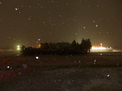 今冬２回目の雪