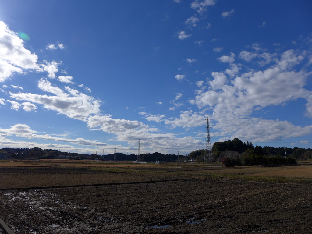 初冬の田んぼ