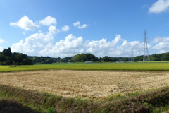 刈入れ済みの田んぼ