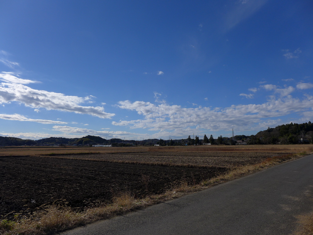 いつもの田園冬景色　2
